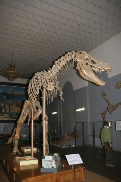 _dsc09621_img_1368_dino.jpg