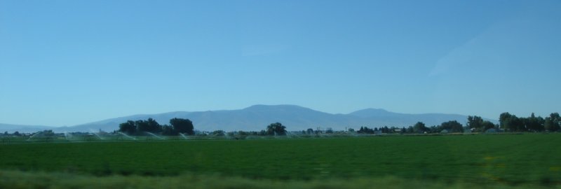 _20080818_0721.jpg